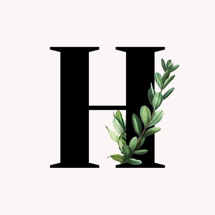 store avatar