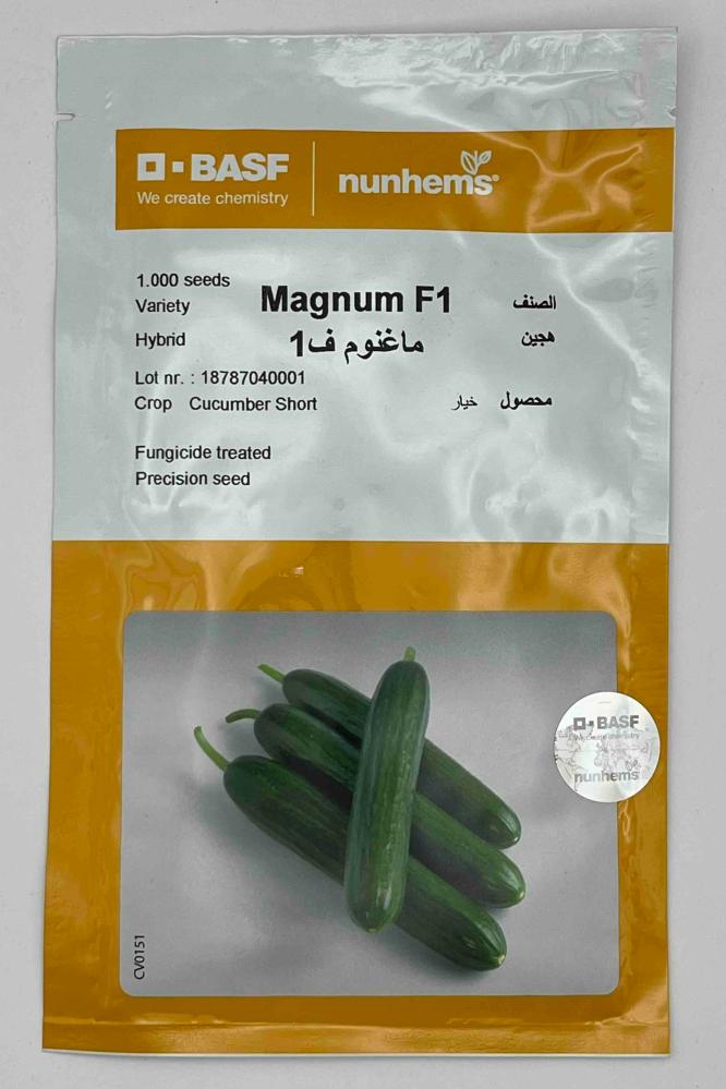 خيار ماغنوم  *1000 بذرة