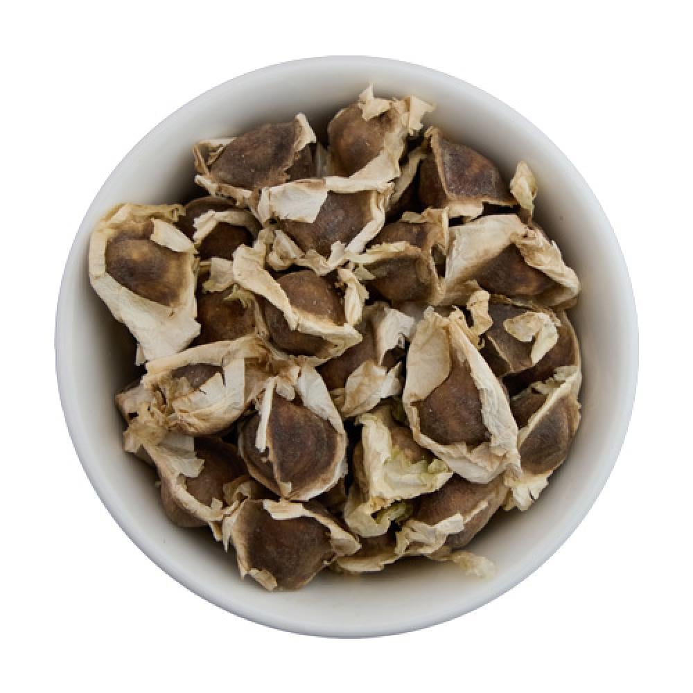 بذور المورينجا