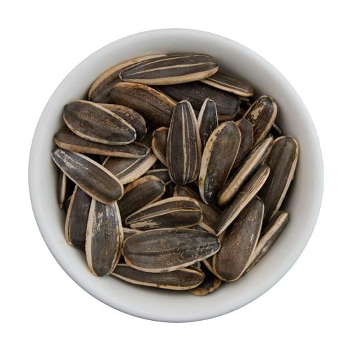 حب دوار الشمس ني