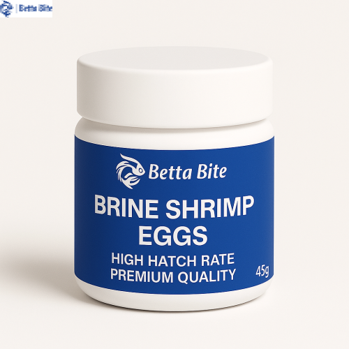 بيوض الارتيميا الفاخرة للتفقيس - Brine Shrimp Eggs