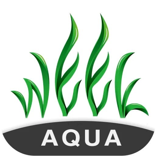 Week aqua
