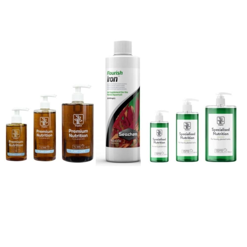 3  أسباب لاصفرار أوراق النباتات وعلاجها