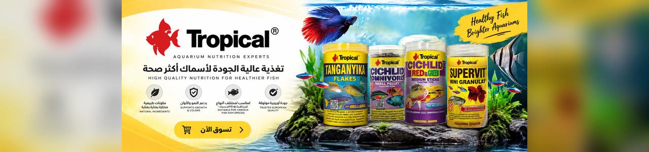 Tropical