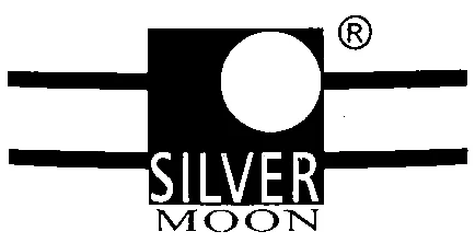 Silver Moon