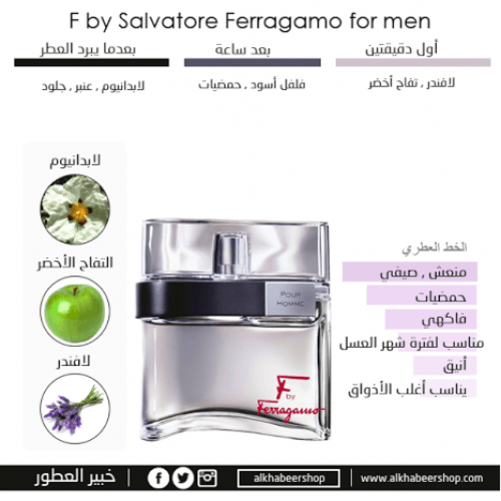 عطر سلفاتور فيرغامو F الرصاصي او دو تواليت 100مل أصلي 100%