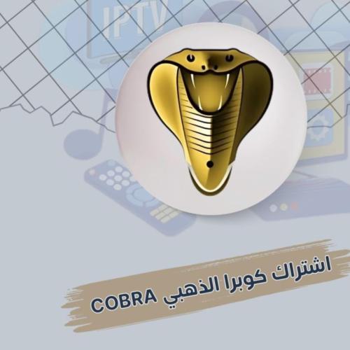 اشتراك كوبرا سنه COBRA