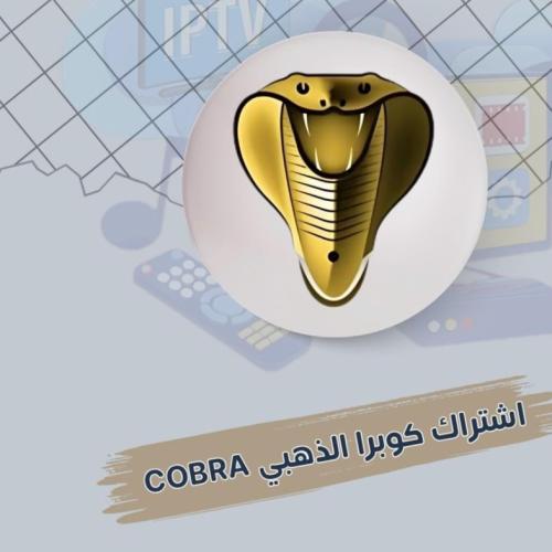 اشتراك كوبرا ٦ شهور COBRA