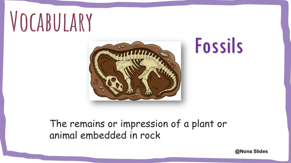 SG1 Unit 3 What's That