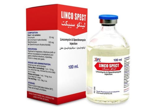 لينكوسبيكت الوطني 100 مل Linco spect 100ML