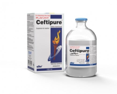 سيفتي بيور التركي ceftipure 100ML