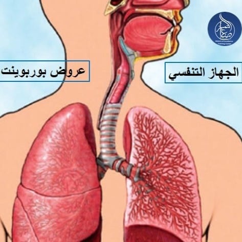 عرض بوربوينت للجهاز التنفسي من كتاب احياء 2 -2