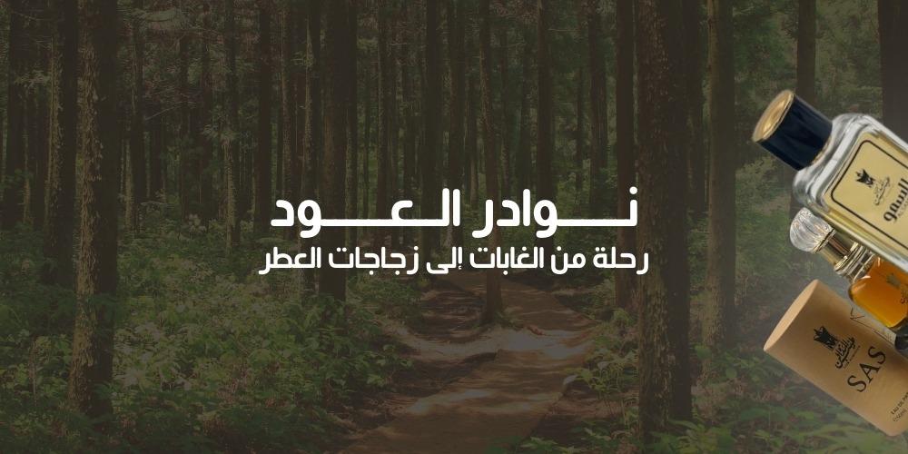 نوادر العود: رحلة من الغابات إلى زجاجات العطر