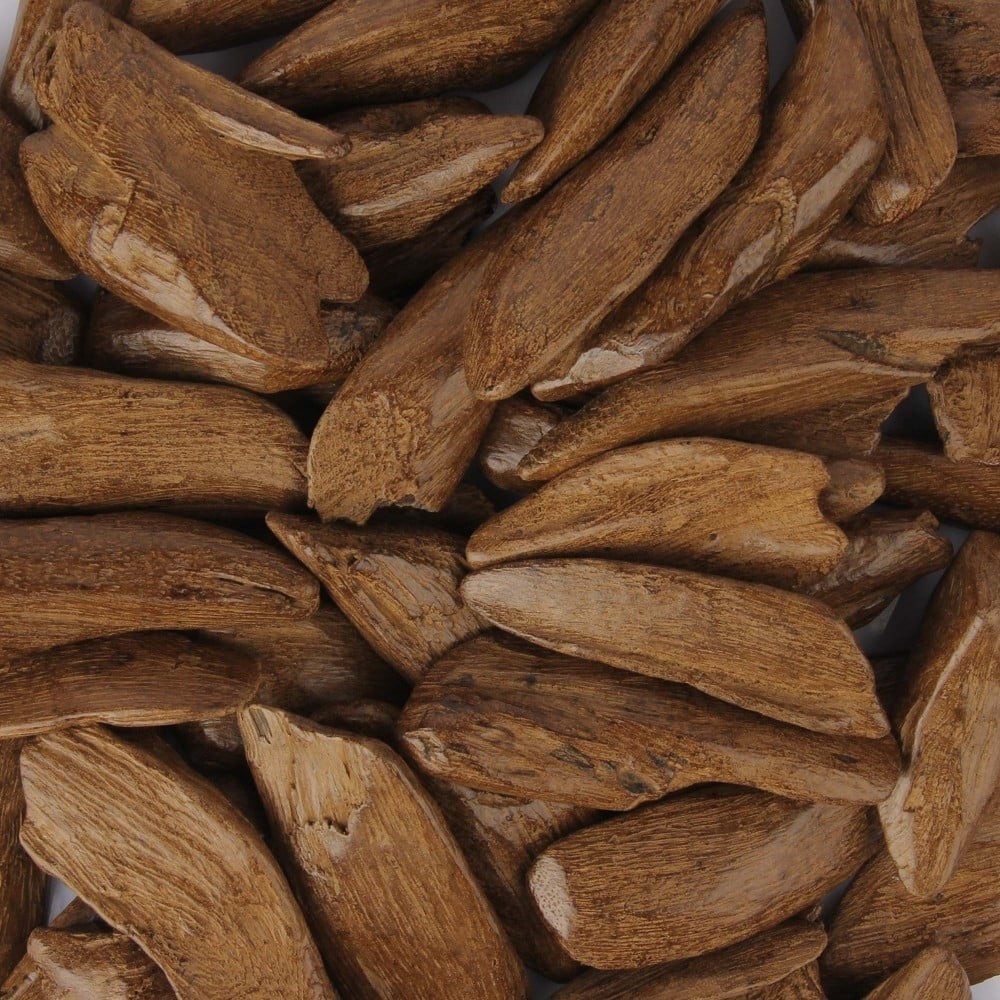 العود