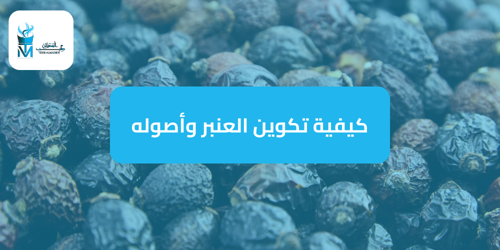 كيفية تكوين العنبر وأصوله