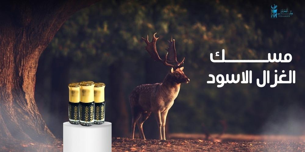 كيفية استخراج مسك الغزال الاسود وأصوله التاريخية؟