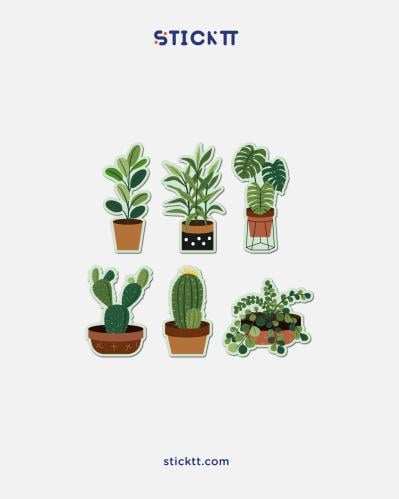 مجموعة - plants