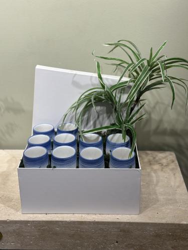 اليوم الوطني