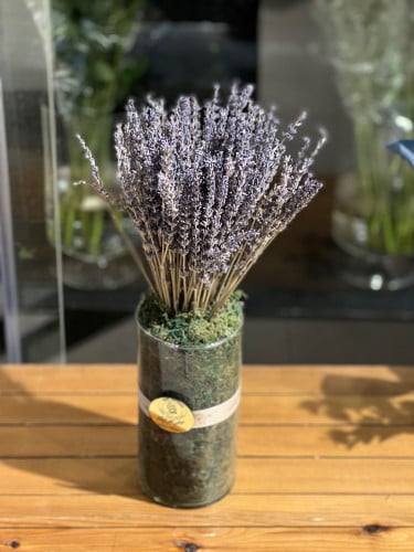 فازة الافندر