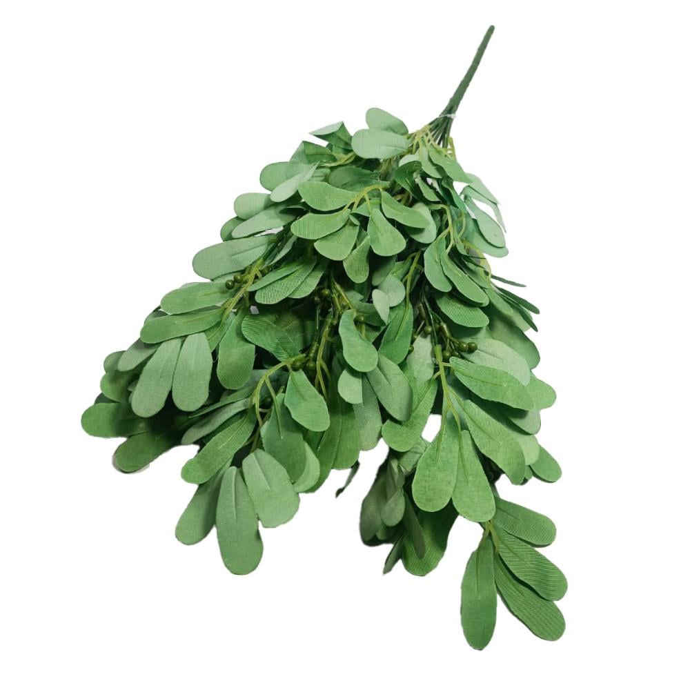 غصن خضار لون اخضر