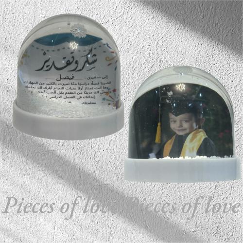 البلورات الثلجية