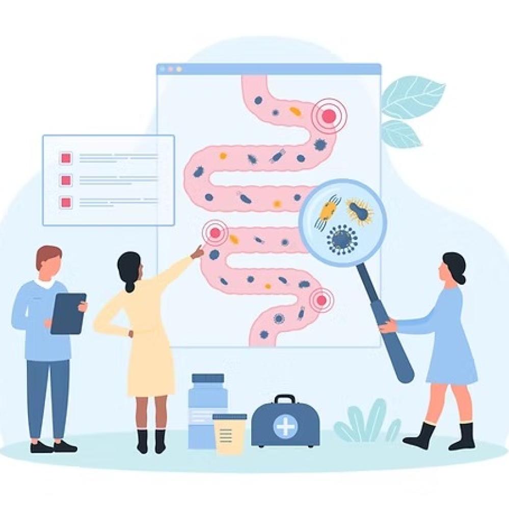 الأطعمة البريبايوتيكية لصحة الأمعاء: دليل شامل