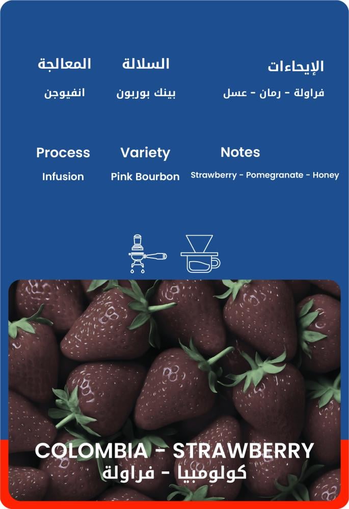 كولومبيا - فراولة