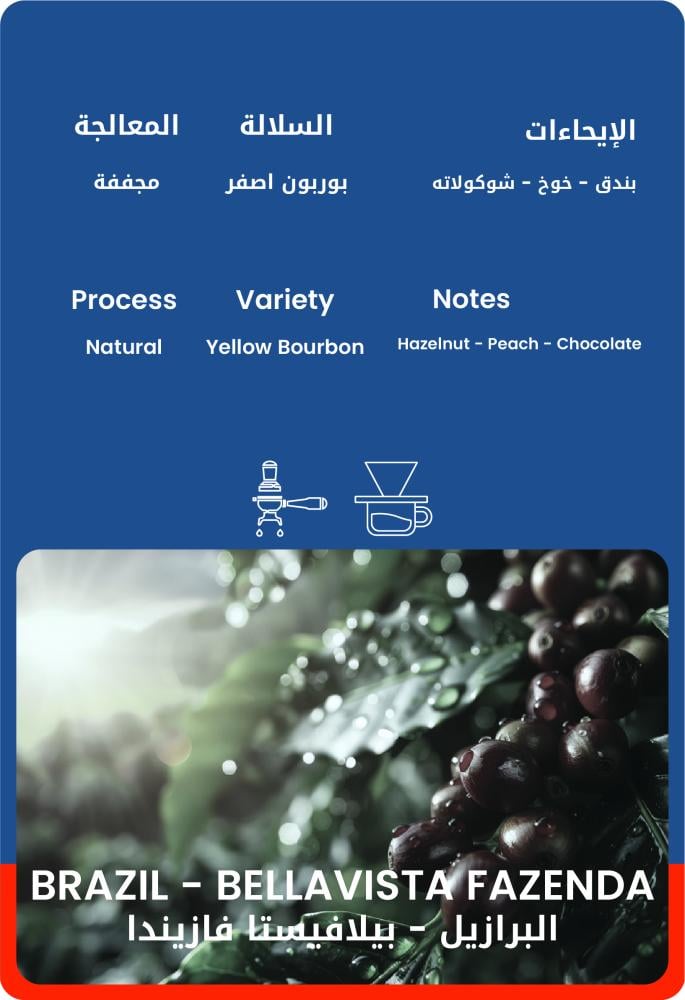برازيلي - بيلافيستا فازيندا