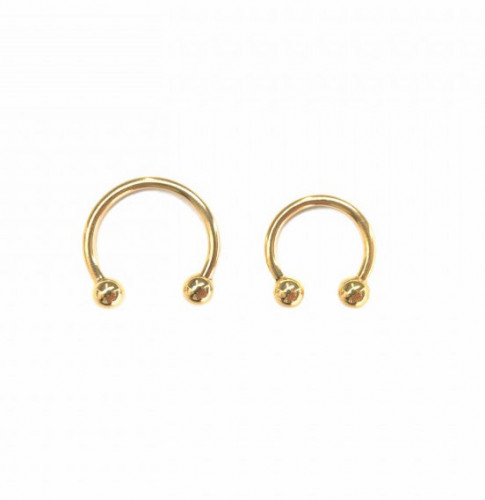 16g Gold Horseshoe