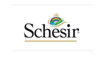 Schesir