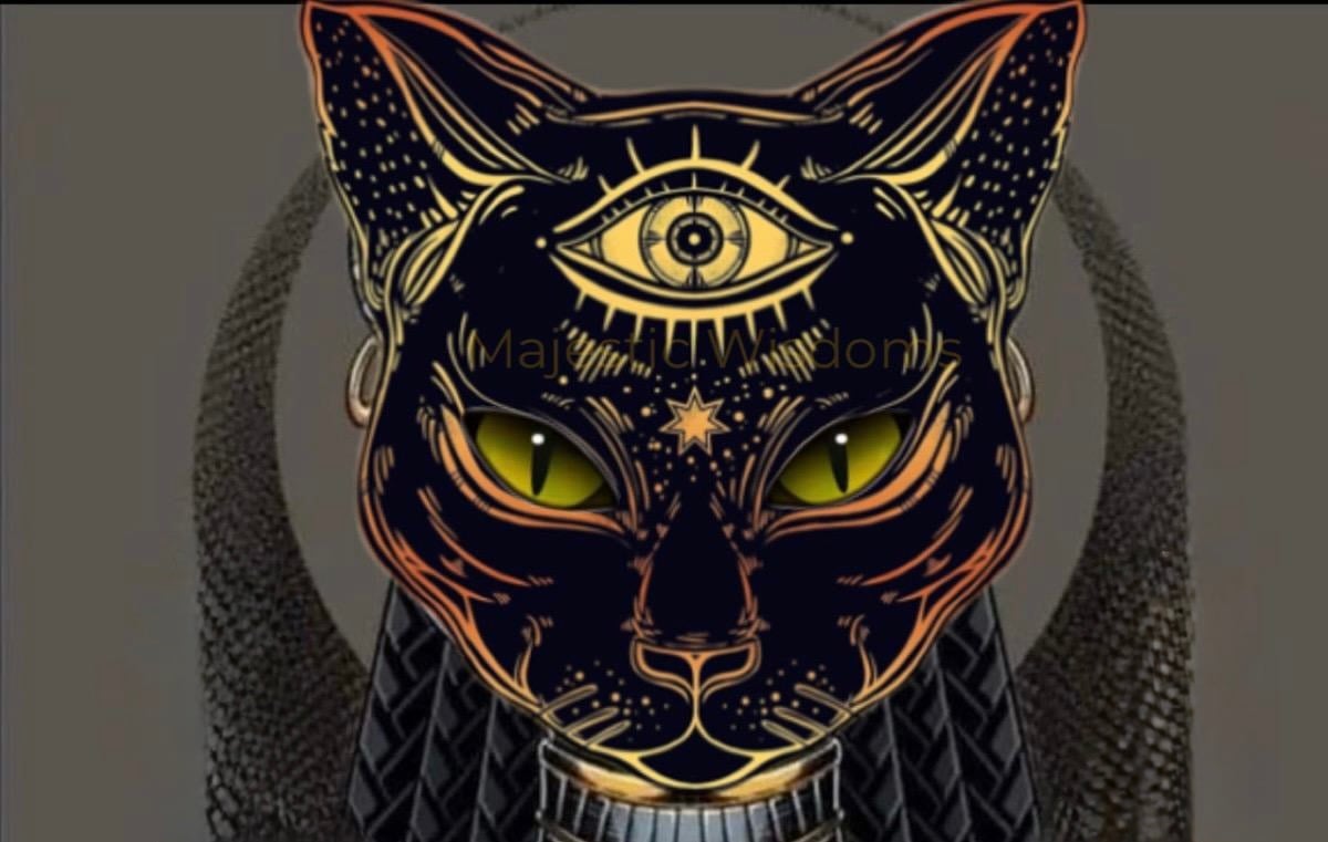 store avatar