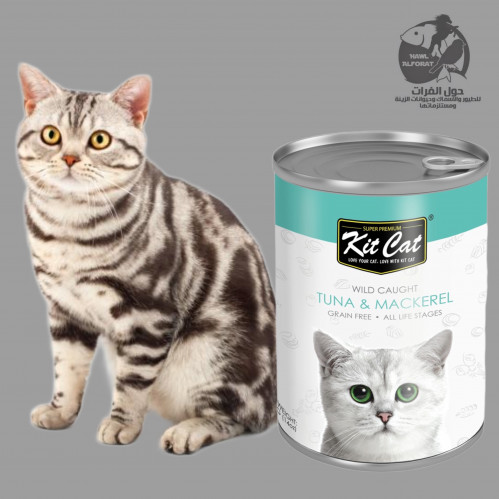 كت كات تونة و سمك ماكريل 400g
