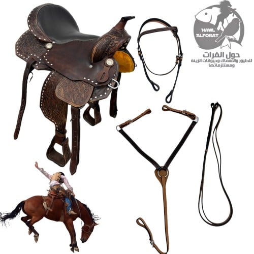 سرج غربي كوبوي - حول الفرات