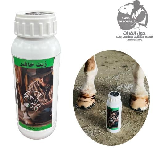 زيت حافر تمكين الفرسان