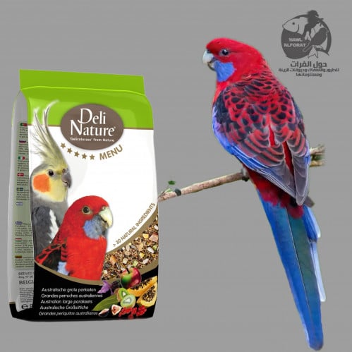 طعام كوكتيل و البراكيت بالفواكه ديلى نيشر - حول الفرات