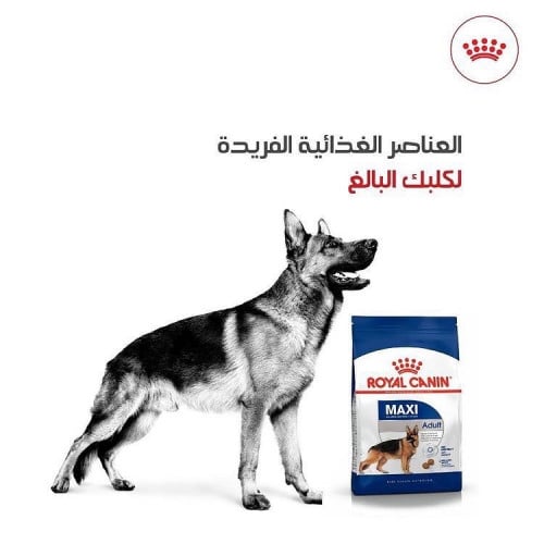 رويال مكس ادلت - حول الفرات