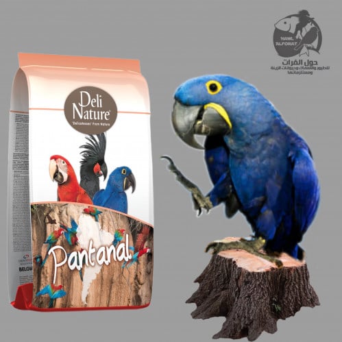 طعام ببغاء بالفواكة والمكسرات ديلى نيشر - حول الفرات