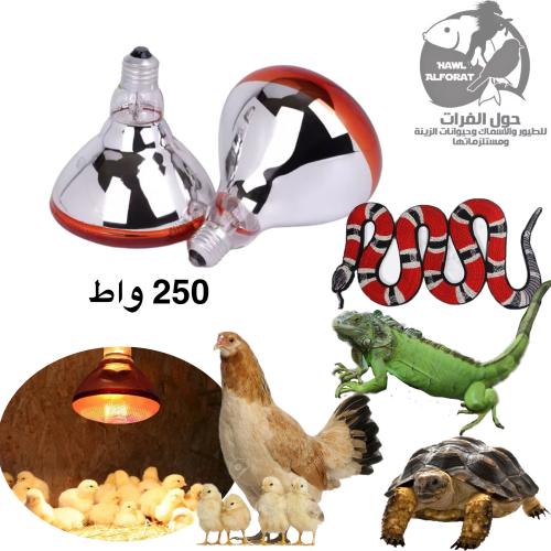 انارة تدفئة تعطي أشعة طيف الشمس 250 واط