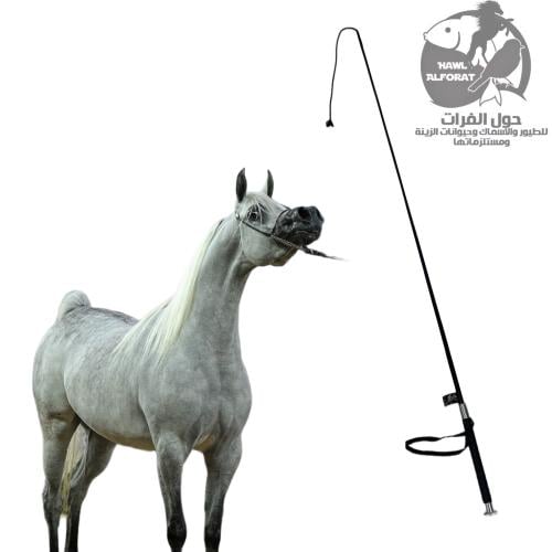 كرباج هاي رايدر HFHR-100370