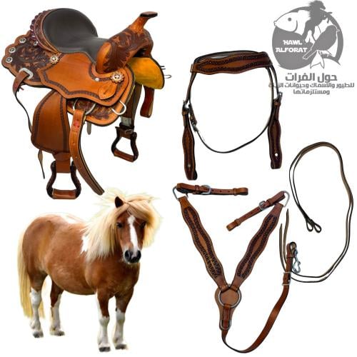 سرج غربي للخيل السيسي - حول الفرات