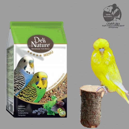 طعام بادجي بالفواكة ديلى نيشر - حول الفرات