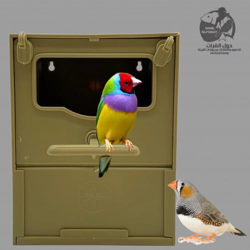 عش الفنش خارجي و داخلي ايطالي 2GR Art.084