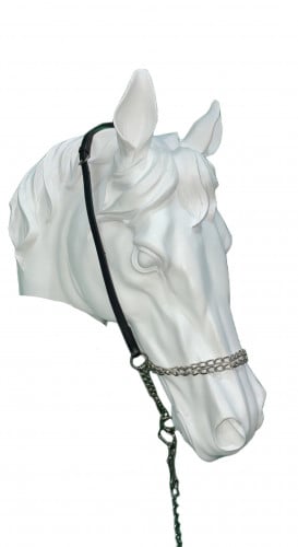 رشمة تدريب جمال - حول الفرات