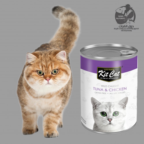 كيت كات تونة مع دجاج 400g