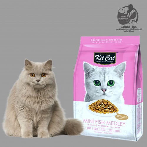 كيت كات للقطط ميني سمك متنوع لدعم نمو  للعظام - حول الفرات