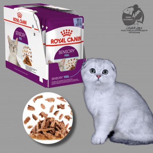 رويال كنن سنسوري الشعور 85gX12