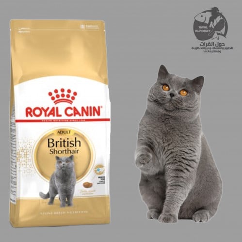 رويال كنن بريتيش 2kg