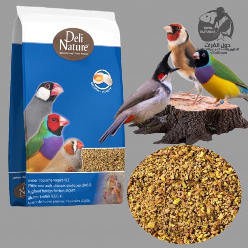 ديلي نيشر بتيه الطيور الاستوائية 1kg