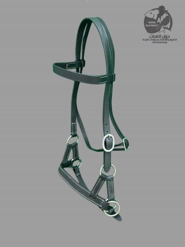 راسية تدريب جلد - حول الفرات