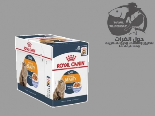 رويال كنن  انتنس بيوتي 85gX12